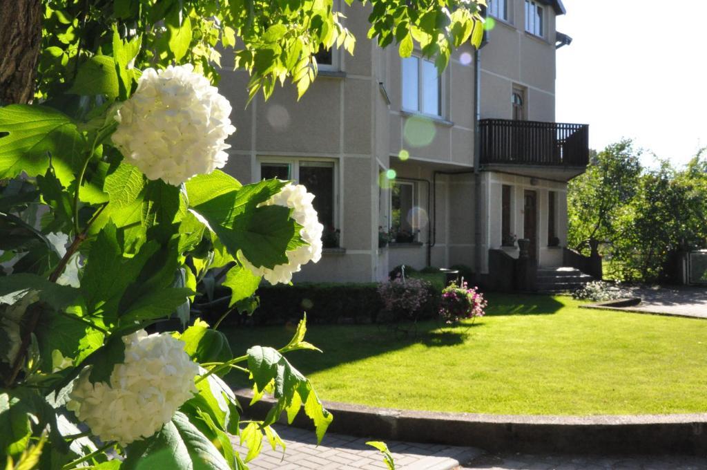 Elena Hotel Palanga Luaran gambar