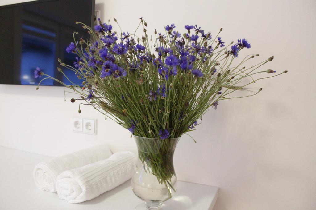 Elena Hotel Palanga Bilik gambar